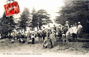 444- Blida - Sur la route de Chrea